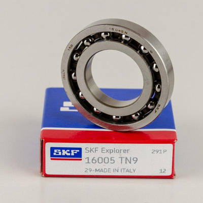 16005 TN9 SKF