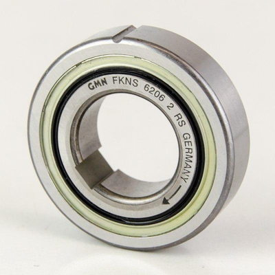 FKNS 6206 2RS GMN