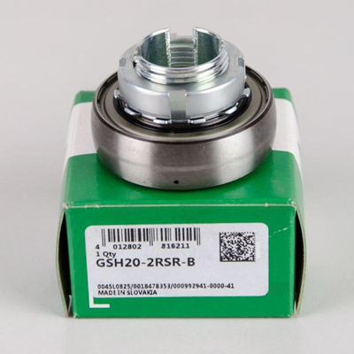 GSH20-XL-2RSR-B INA