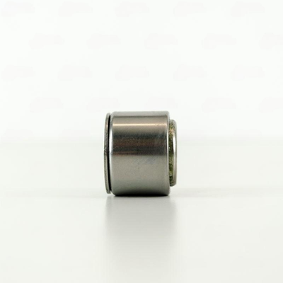 HFL 283625 GBM