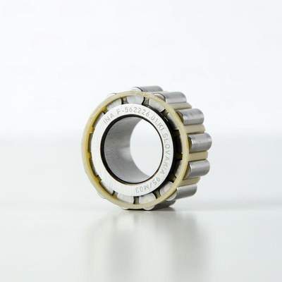 F-562226.01 INA
