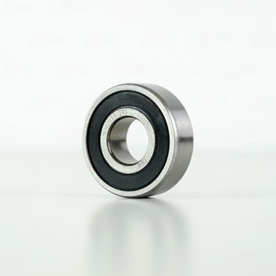6302/17 2RS GBM