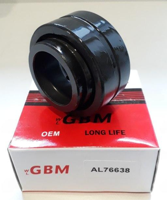 AL76638 GBM