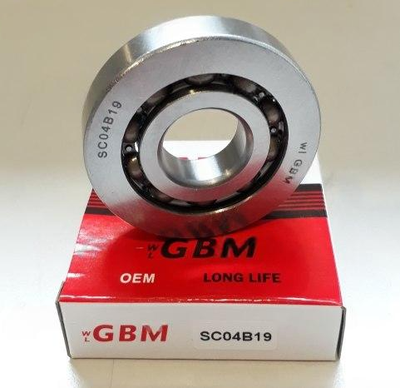 SCO4B19 GBM