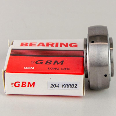 204KRRB2 GBM