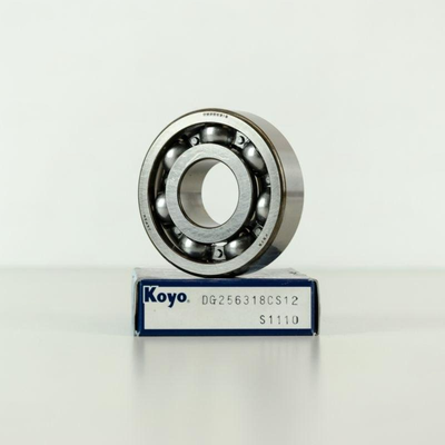 DG256318CS12 KOYO