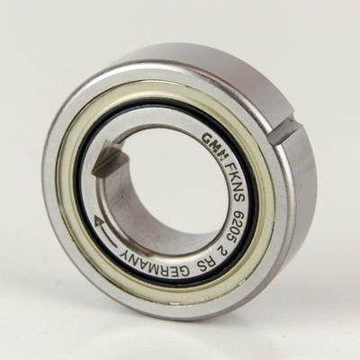 FKNS 6205 2RS GMN