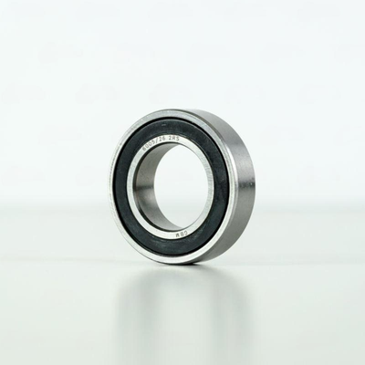 6005/26-2RS GBM