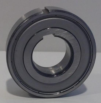 FZ 6204 PP RINGSPANN