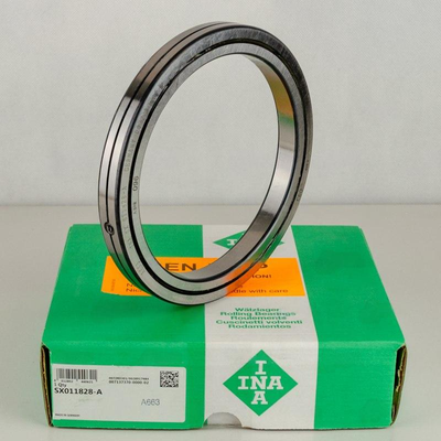 SX011828-A INA