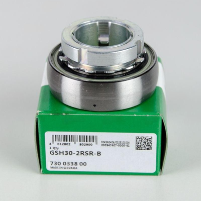 GSH30-XL-2RSR-B INA