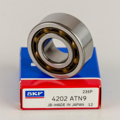 4202 ATN9 SKF